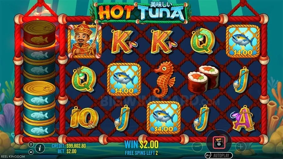 playjl Effective Bankroll Management